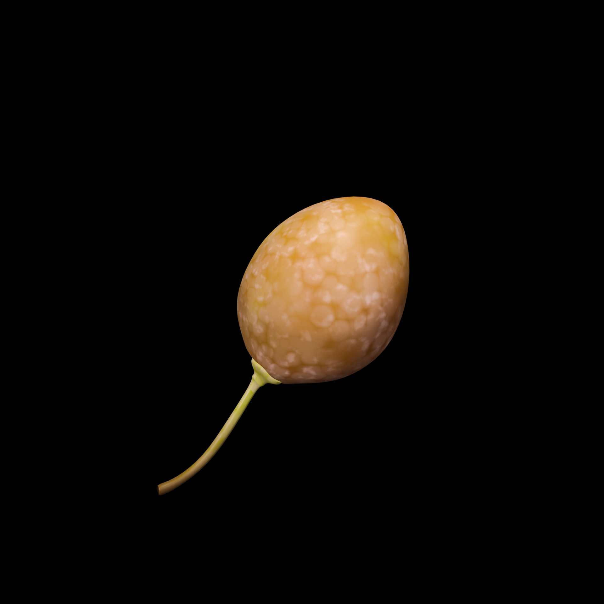 gingko